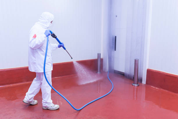 Reliable Bolivar, OH Pressure Washing Services Solutions